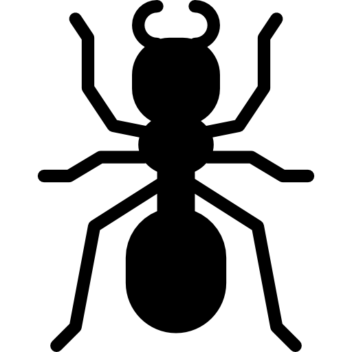 bug
