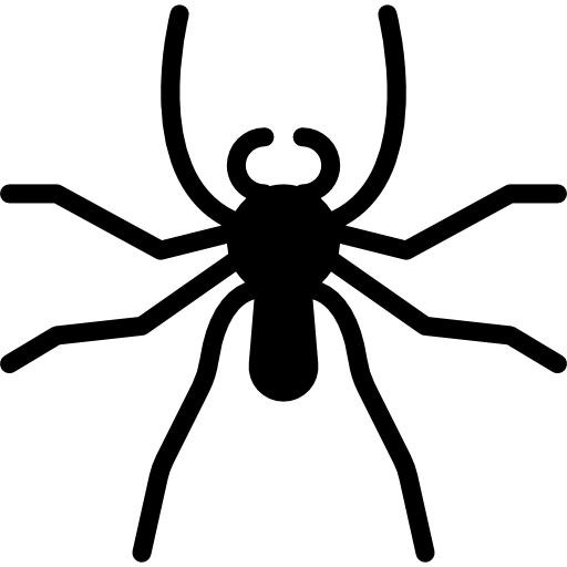 bug
