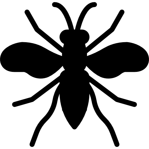 bug